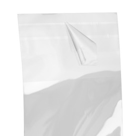 Bolsas de Plástico Biorientado con Solapa Adhesiva 6x8 cm G-160 (100 Uds)