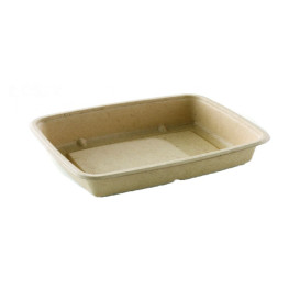 Envase Caña de Azúcar Rectangular 165x230x30mm (300 Uds)