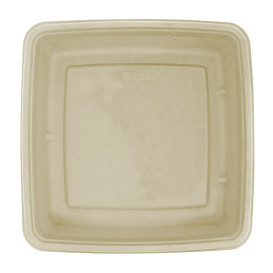 Envase Caña de Azúcar Cuadrado 230x230x40mm (300 Uds)