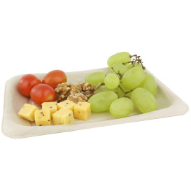 Envase Caña de Azúcar 20x14cm (50 Uds)