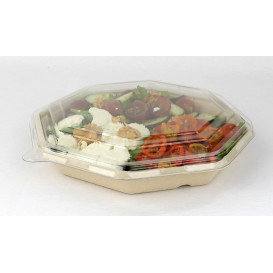 Tapa Plastico PET para Envase Hexagonal 230x230mm (100 Uds)