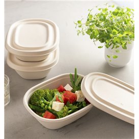Tapa de Caña de Azúcar para Bol 19x15cm (300 Uds)
